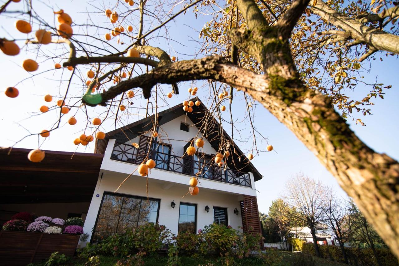 Villa Nora Butik Otel Ve Bungalov Бурса Экстерьер фото